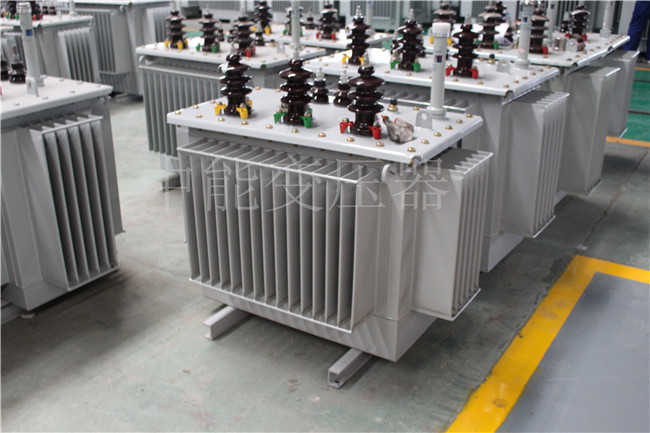 漯河S22-100KVA/10KV/0.4KV变压器